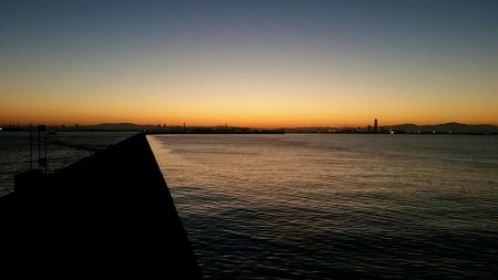 ムコイチ朝マズメ、ボチボチでした。